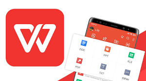 WPS-3